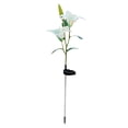 thumbnail image 1 of Awdenio 2 Lilys Lights Solar 2 LED Color Changing Lilys Lights Led Lights, 1 of 1
