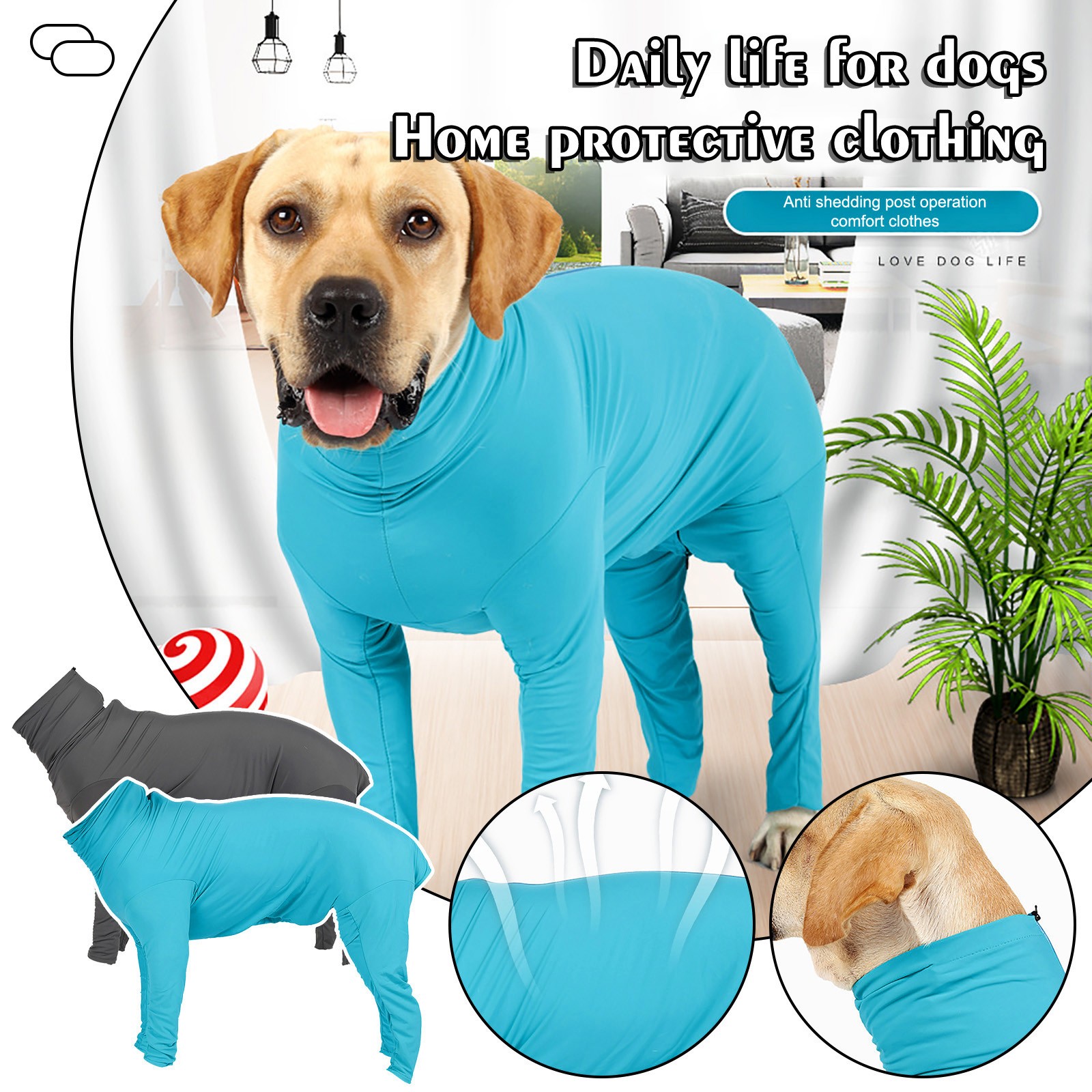 How Can I Stop My Dogs Hair From Falling Out