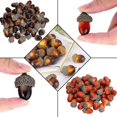 thumbnail image 4 of Mini bellotas artificiales de 3cm, frutas de roble falsas realistas para decoración de mesa de cocina, Acción de Gracias, Halloween, Festival de Navidad, 100 Uds. Feliz Sencillez, 4 of 5