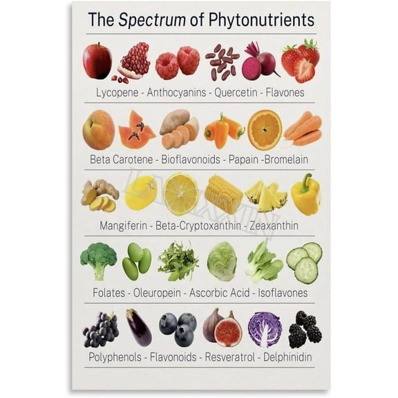 The Spectrum of Phytonutrients Poster Healthy Food Kitchen Wall Art Poster Wall Art Painting for Living Room Bedroom
