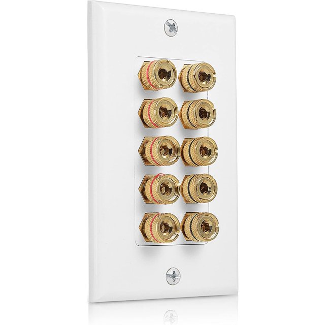 Cable Matters Speaker Wire Wall Plate (Speaker Wall Plate, Banana Plug