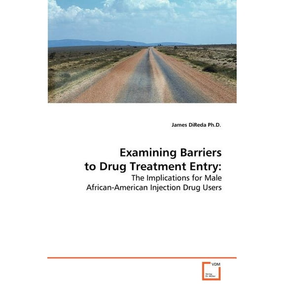 Examining Barriers to Drug Treatment Entry (Paperback)