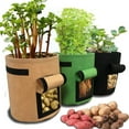 thumbnail image 1 of Hot6sl Ofertas Del Día 3 Tela No Tejida para Plantas, para Jardinería, Verduras y Patatas, 1 of 6