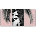 thumbnail image 3 of PixonSign Canvas Print Wall Art Set Hanging Palm Leaves & Monstera Floral Plants Photography Realism Tropical Closeup Multicolor Dark Black and White for Living Room, Bedroom, Office - 24"x36"x3, 3 of 5