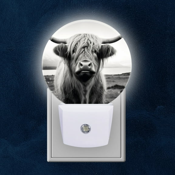 Round LED Night Lights Lamp with Dusk to Dawn Sensor, Black And White Scottish Highland Cow Beautiful Drawing Night Light Plug Into Wall for Kids Room, Bedroom, Bathroom, Kitchen, Hallway