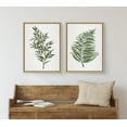 thumbnail image 5 of Kate and Laurel Sylvie Green Fern and Ruscus Framed Canvas Wall Art Set by Patricia Shaw, 2 Piece 18x24 Natural, Natural Plant Leaf Art Set for Wall, 5 of 6