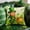 A, variant on Fasiaou 18x18 Inch St. Patrick's Day Printed Pillowcase for Themed Home Decor and Festive Sofa Accent,A