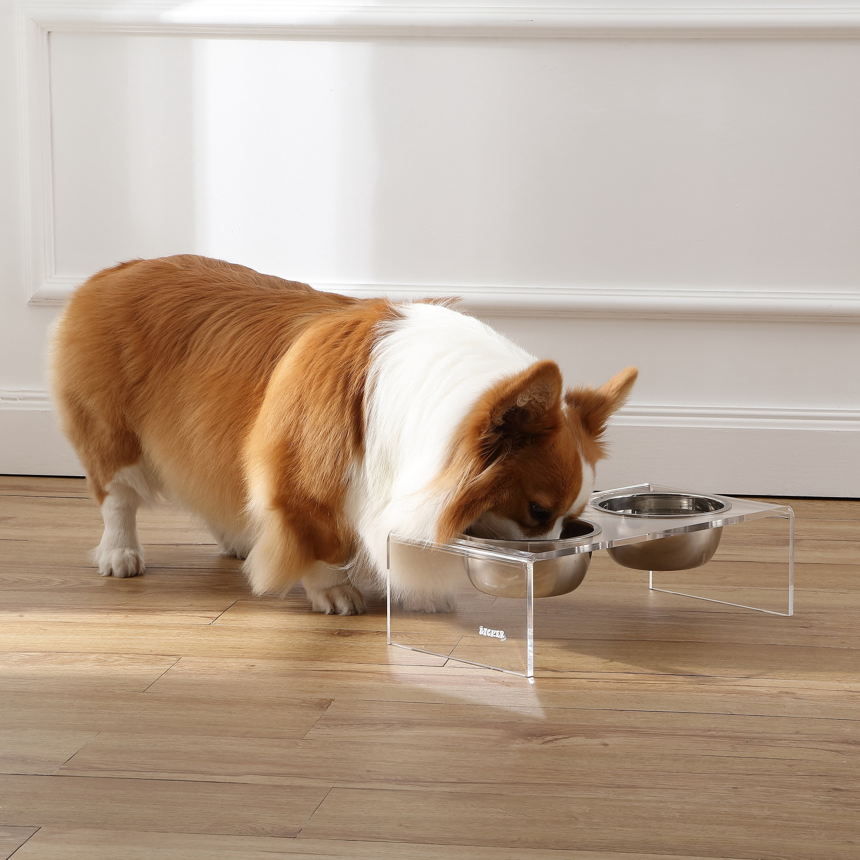 THE LICKER STORE Keaton 5" Small/Medium Modern Acrylic Rectangular Elevated Pet Feeder with 20oz 2-Stainless Steel Bowls, Clear/Chrome, DBL2000A