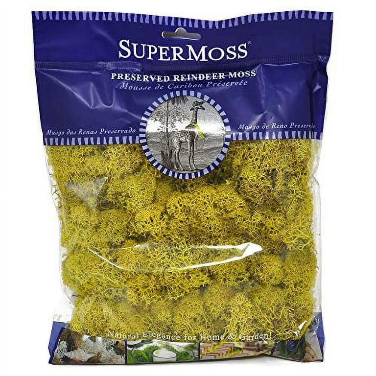 Super Moss Products Co SPM21707 SuperMoss 4oz Reindeer Moss Chartreuse
