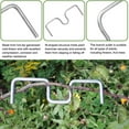 thumbnail image 7 of Kingtowag 30Pc Tree Branch Stretcher and Shaper Bending Tool for Fruit Growth, Limb Training Tool for Better Fruiting, 7 of 7