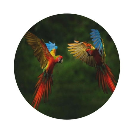 

Matuu Hybrid Parrot in the Forest for Cup Coasters Set of 6 Leather Coasters Desk Coasters for Office Measures 4” x 4” Round Shape