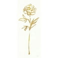 thumbnail image 3 of Schlabach, Sue 10x18 Black Modern Framed Museum Art Print Titled - Floral Line II White Gold, 3 of 5