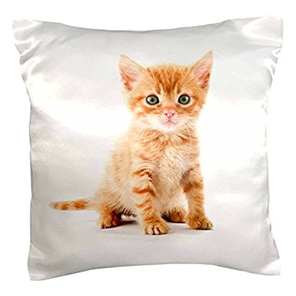 3drose Cute Orange Tabby Kitten Pillow Case 16 By 16 Inch