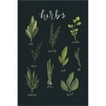 thumbnail image 2 of Great Art Now Light Green Herbs I Black by Becky Thorns, Framed Wall Art, 16.75W x 22H, 2 of 2
