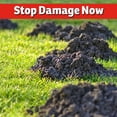 thumbnail image 6 of I Must Garden Armadillo Repellent: 32 oz Hose End Concentrate, 6 of 6