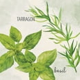 thumbnail image 2 of Allen, Kimberly 15x15 White Modern Wood Framed Museum Art Print Titled - Fresh Herbs 1, 2 of 4