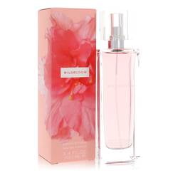 Eau de Parfum Wildbloom Banana Republic por Banana Republic