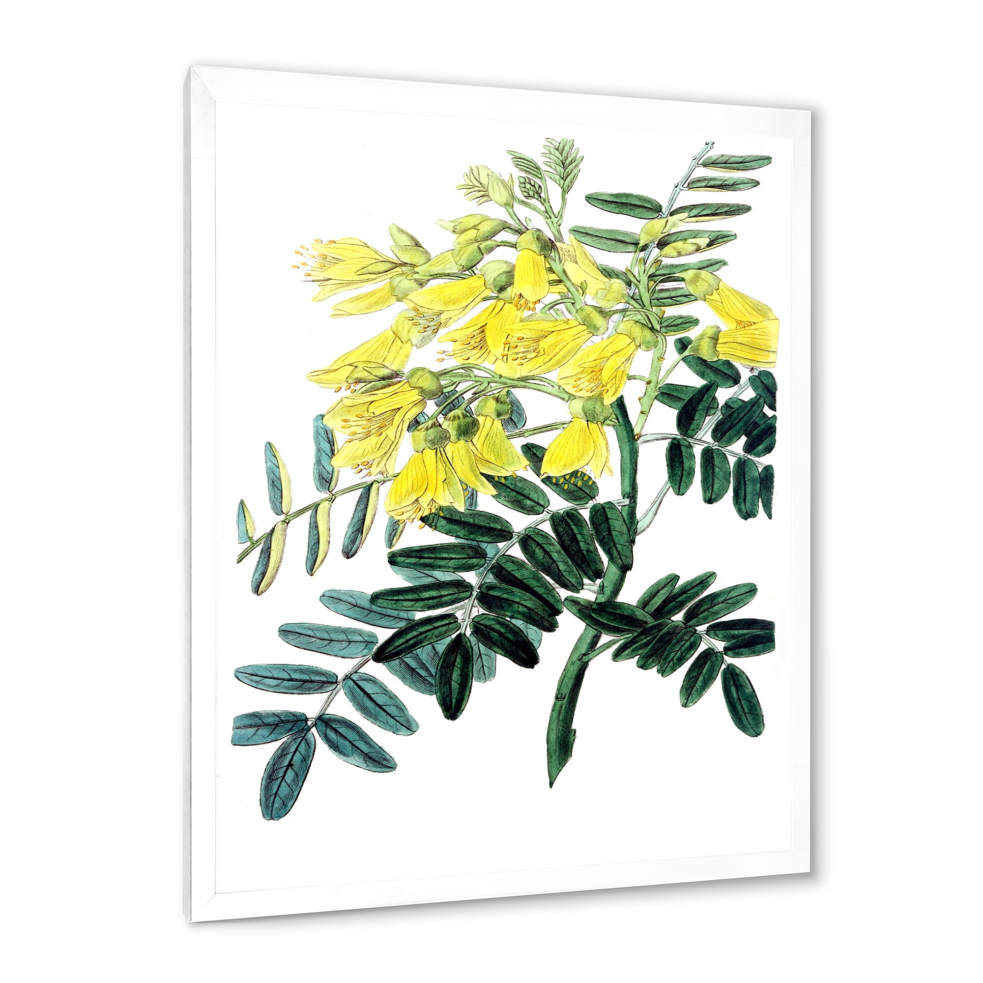 Designart 'Ancient Yellow Flower II' Traditional Framed Art Print