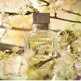 thumbnail image 4 of Maison Francis Kurkdjian Unisex Petit Matin EDP Fragrances Spray 2.4 oz, 4 of 5