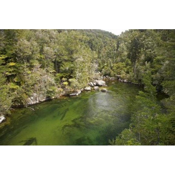 Falls River Abel Tasman South Island New Zealand Canvas Art - David Wall  DanitaDelimont (17 x 11)