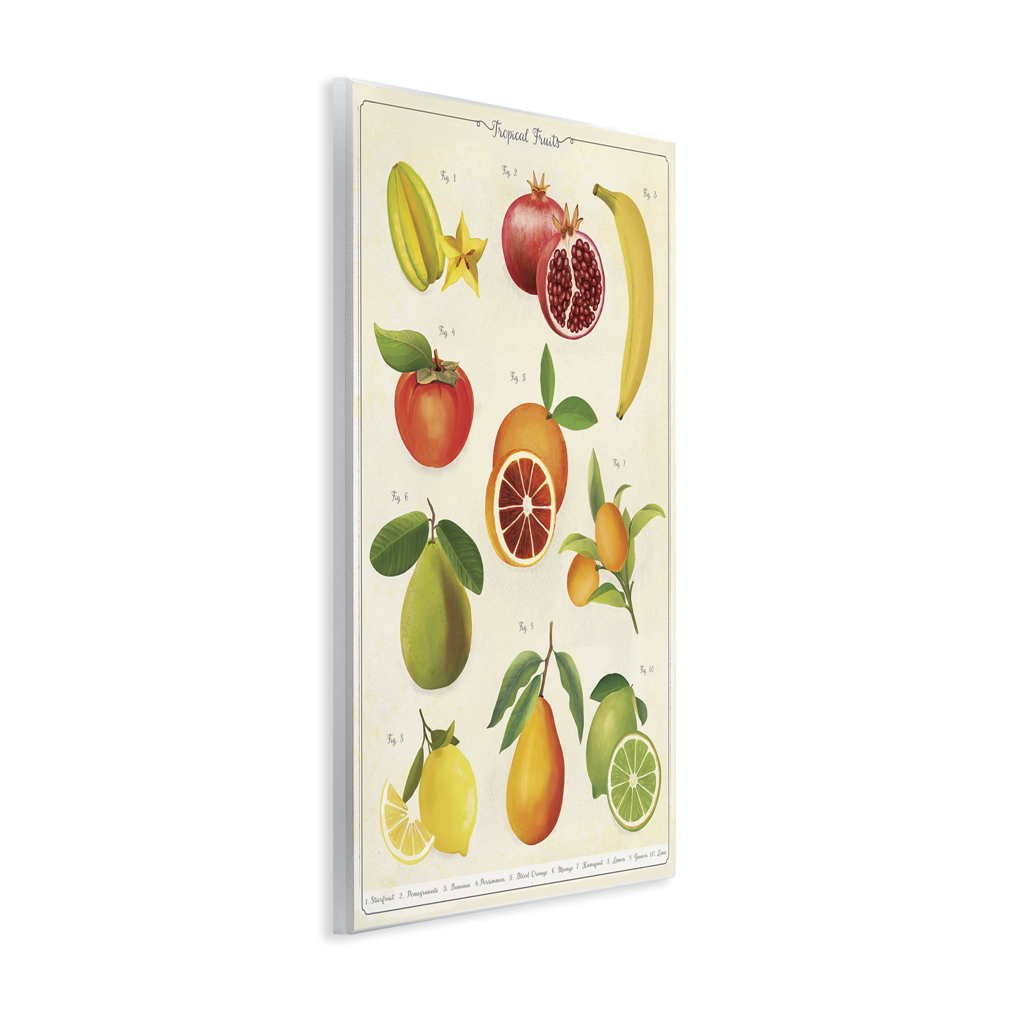 Stupell Industries Vintage Tropical Fruit Studies Wall Plaque Art, design by Diane Neukirch