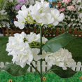thumbnail image 4 of 3 cabezas Hortensia Luz de tierra Bendable LED Solar Path Yard Lights para patio, 4 of 9