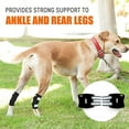 thumbnail image 5 of NeoAlly Dog Rear Leg Braces Ankle Support [Pair] Canine Hind Hock Sleeves with Safety Reflective Straps for Injury, Sprain, Wound Healing and Loss of Stability from Arthritis (Large Pair), 5 of 9