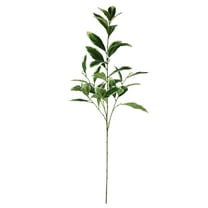 Mainstays 40.5" Indoor Artificial Foliage Stem, Peperomia, Green and White Color.