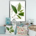 thumbnail image 3 of Designart 'Ancient Brazilian Plant I' Traditional Framed Art Print, 3 of 4