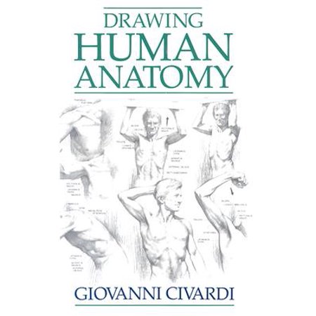 Drawing Human Anatomy