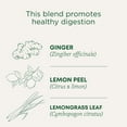 thumbnail image 2 of Traditional Medicinals Tea, Organic Lemon Ginger, Promotes Healthy Digestion, 16 Tea Bags, 2 of 5