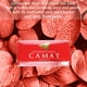 thumbnail image 5 of Barras de baño hidratantes Soap Camay Classic de 4 onzas (12 barras), 5 of 6