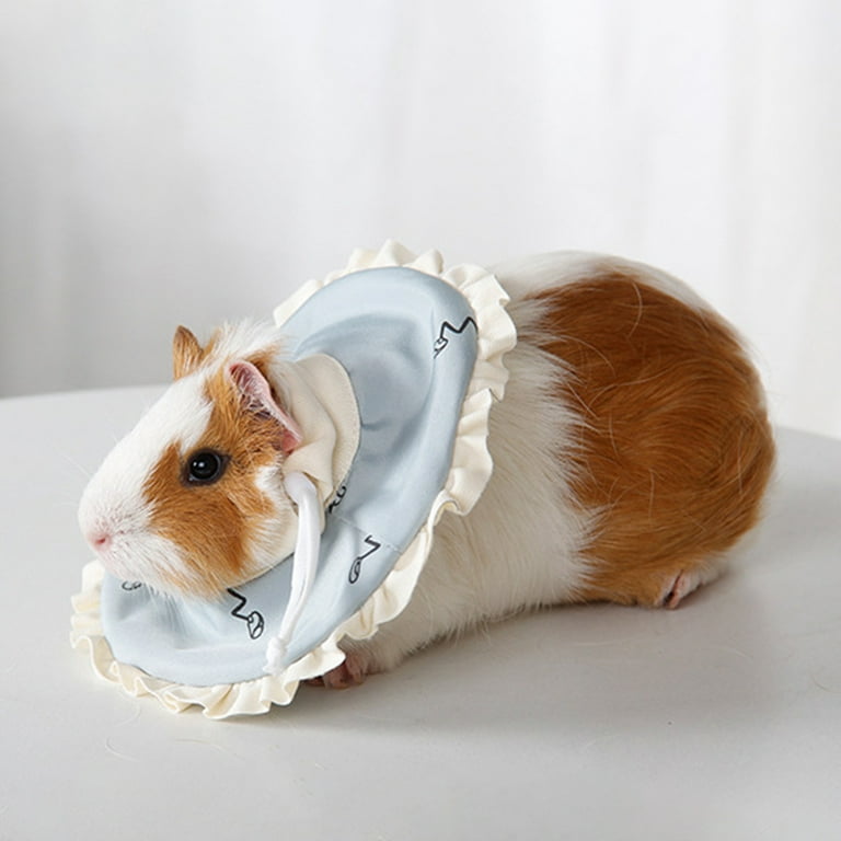 Hamster e cheap collar