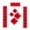 For Dog 1, variant on Pet House Couplets Decor - Chunlian & Chinese Character Paper for Chinese New Year, Festival Decoration For Cat 1