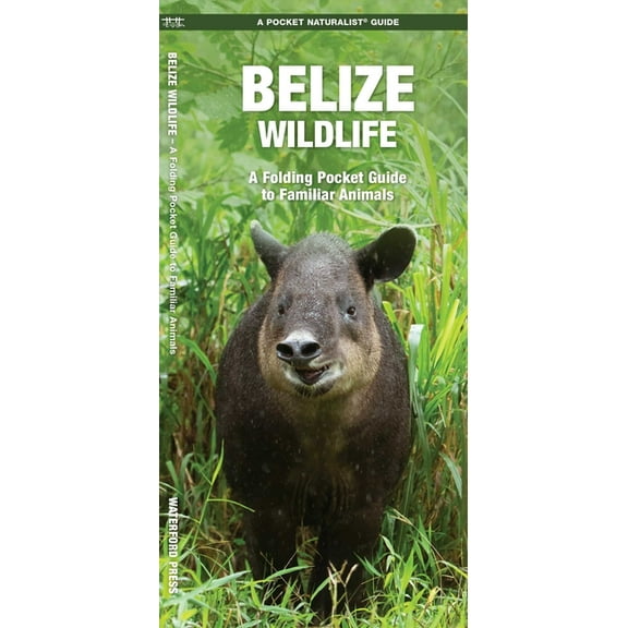 Pocket Naturalist Guides: Belize Wildlife: A Folding Pocket Guide to Familiar Species (Paperback)