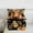 Brown Black Pink, variant on jejeloiu Kawaii Cow Cattle Queen Comforter Set,Farm Animal Bedding Sets,Brown Black Bedding Comforter Set For Boys Kids,Luxury Bedroom Decor Reversible,3 Pieces