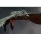 thumbnail image 2 of NECA Godzilla 2019: Figura de acción de Rodan de 7 pulgadas, 2 of 5