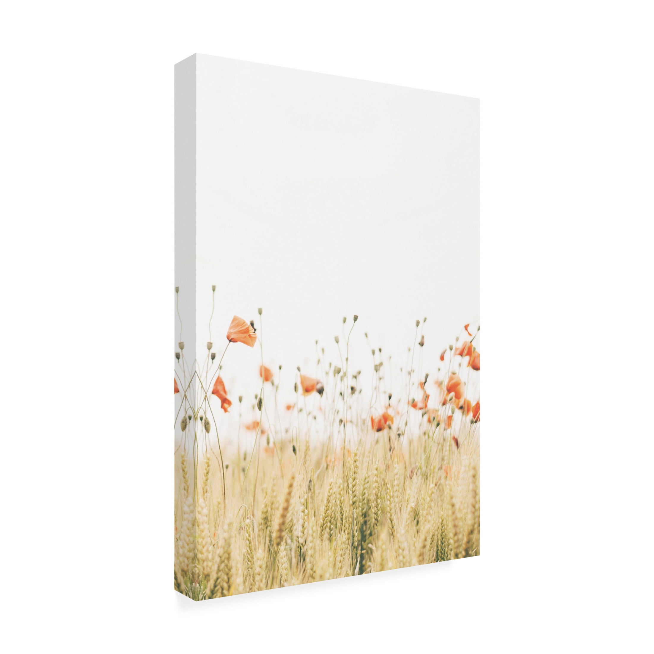 Canvas Wall Art - Krista Broadway 'Poppy 2' Wall Art for Living Room, Bedroom, or Office Décor by Trademark Fine Art - 22 x 32 Inches