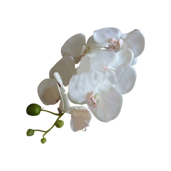 Trayknick 6 Pack Artificial Flowers, Butterfly Orchid Silk Flower Home Wedding Decor Phalaenopsis Bouquet