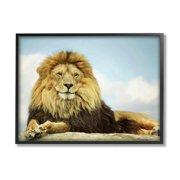 Stupell Industries Savanna Lion Photography Portrait Photograph Black Framed Art Print Wall Art, Design by Carrie Ann Grippo-Pike