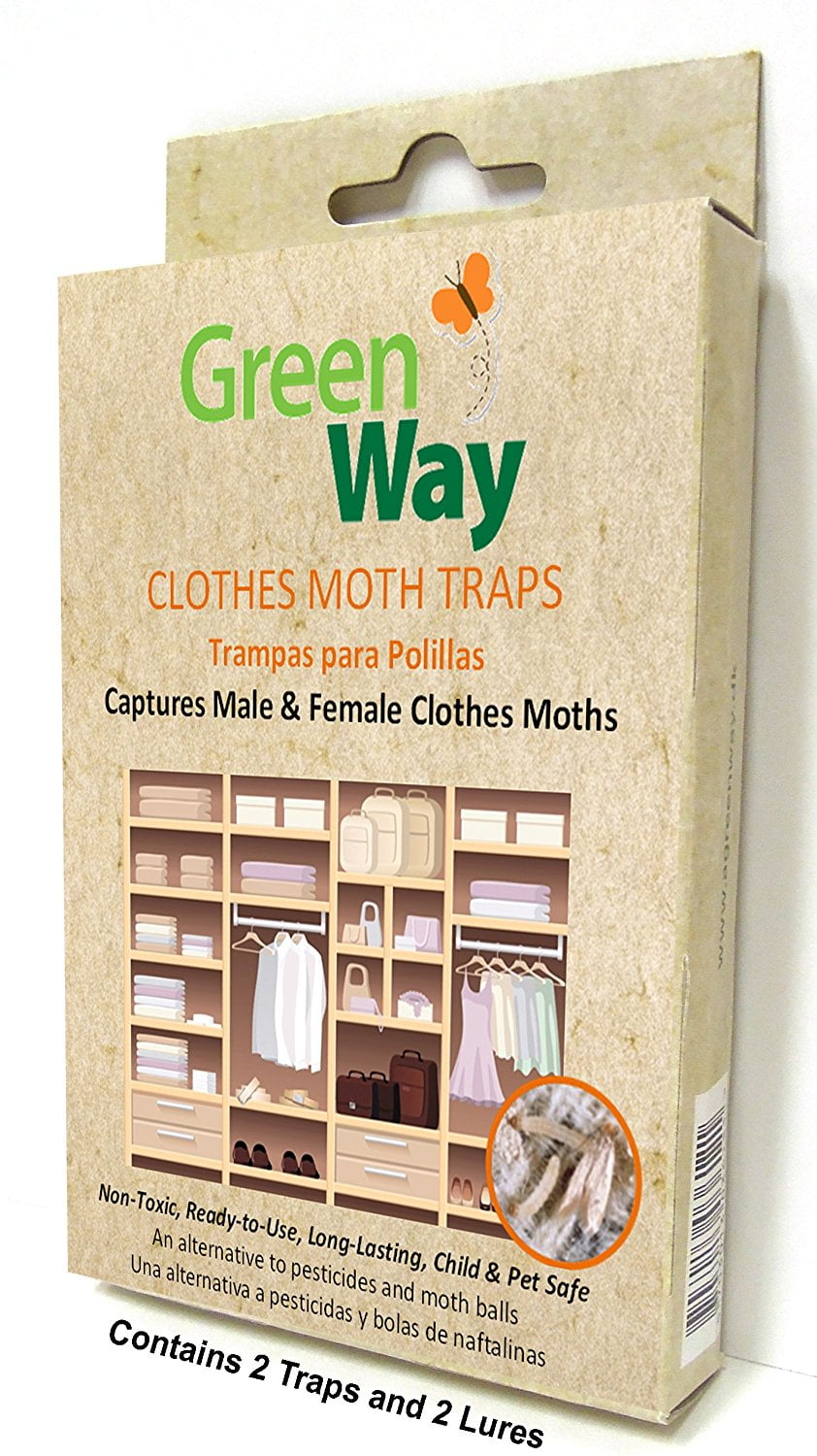 GreenWay Clothes Moth Trap - Walmart.com