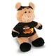 thumbnail image 1 of Harley Davidson Hog ​​Junior Flame Rider KIDS PREFERRED 81787201903, 1 of 1