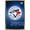 Gold Framed Version, variant on MLB Toronto Blue Jays - Logo 16 Wall Poster with Push Pins, 14.725" x 22.375"