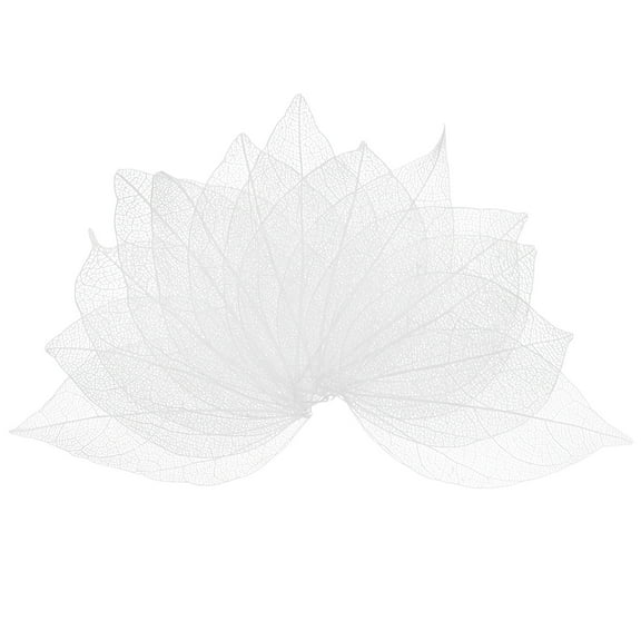 Uxcell 200 Pack Skeleton Leaves Natural Rubber Tree Dried Pressed Leaves Vein 1.57''-2.36" White