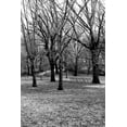 thumbnail image 2 of Grey, Jace 13x18 Black Ornate Wood Framed with Double Matting Museum Art Print Titled - Central Park Image 013, 2 of 4