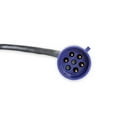 thumbnail image 3 of Racepak RPK280-CA-VM-024 24 in. Length V-Net 5 Pin Cable, 3 of 3