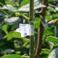 thumbnail image 1 of Clip para plantas Clips de soporte para plantas Clip para injertos de plástico Clip para injertos de plantas para Scions Fruits Crtynell Otros, 1 of 8