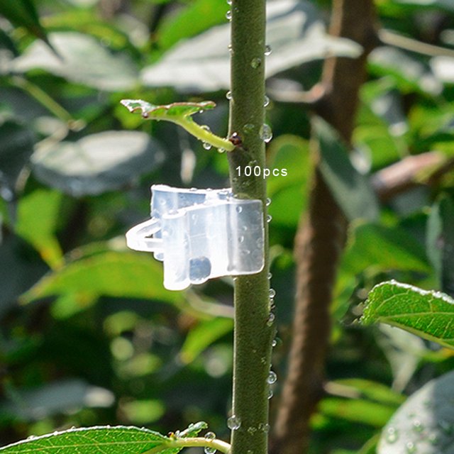 Clip para plantas Clips de soporte para plantas Clip para injertos de plástico Clip para injertos de plantas para Scions Fruits Crtynell Otros