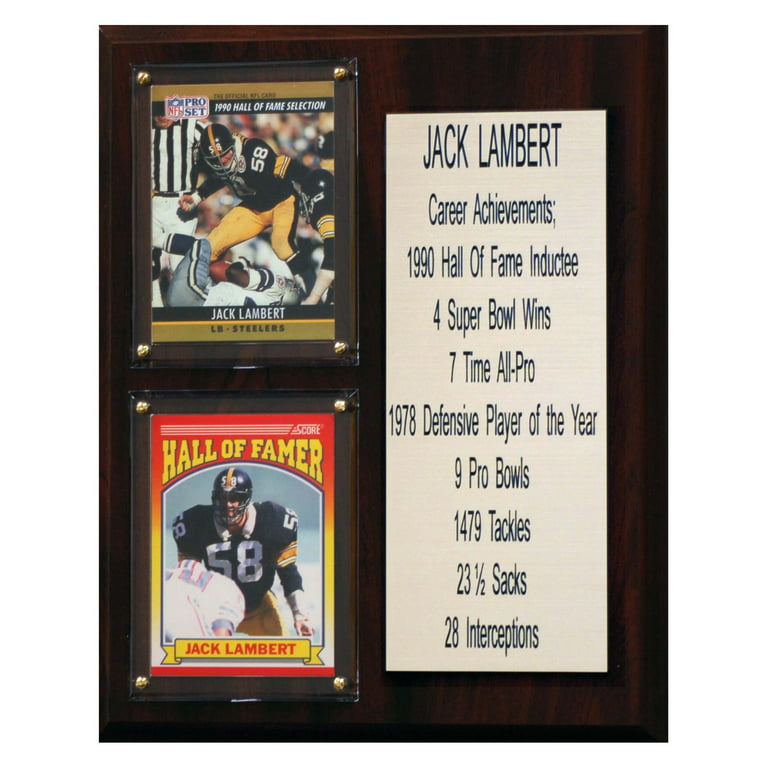C&I Collectibles NFL 8x10 Troy Polamalu Pittsburgh Steelers Career Stat Plaque