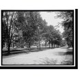 thumbnail image 2 of Historic Framed Print, Collingwood Ave., Toledo, 17-7/8" x 21-7/8", 2 of 9